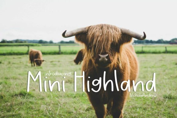 Mini Highland: A Charming Handwritten Font for Engaging Campaigns