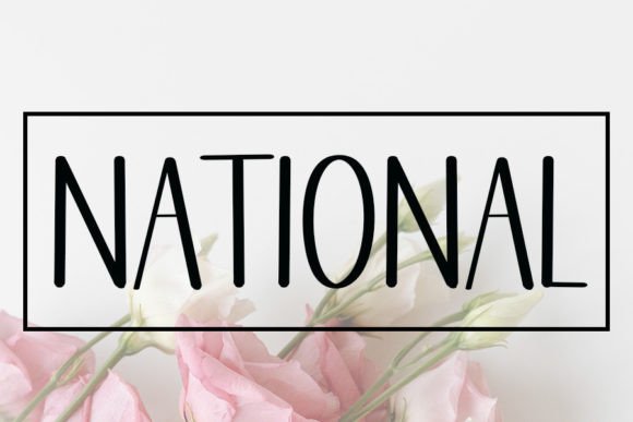 National: A Timeless Script Font for Modern Digital Brands