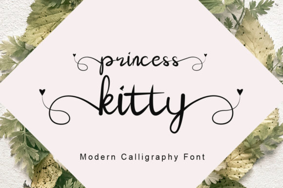 Princess Kitty: The Script Font for a Consistent Brand Story