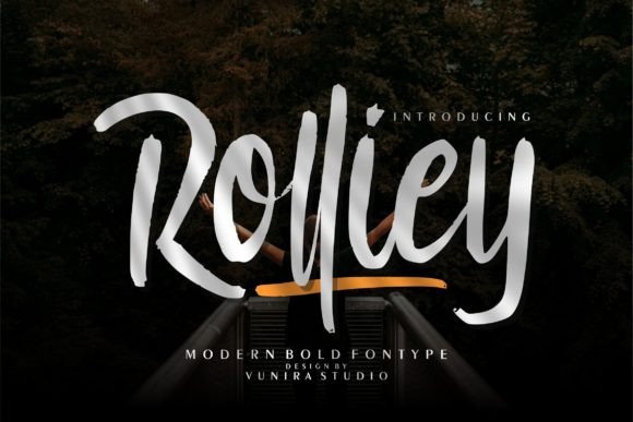 Rolliey: The Font That Makes Your Campaign's Message Sing
