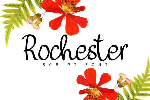 The Rochester Font: A Maker's Secret to Elegant Design